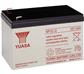 Batteria Piombo-Acido per UPS 12 V 12 Ah, NP12-12
